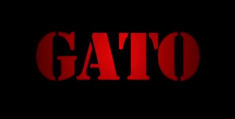 gato
