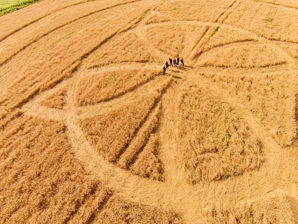 Circulos Drone limpas webDJI00080