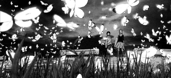 NIJIGAHARA HOLOGRAPH topo