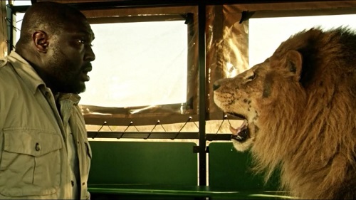 Zoo, o apocalipse dos animais está chegando! 2 Zoo
