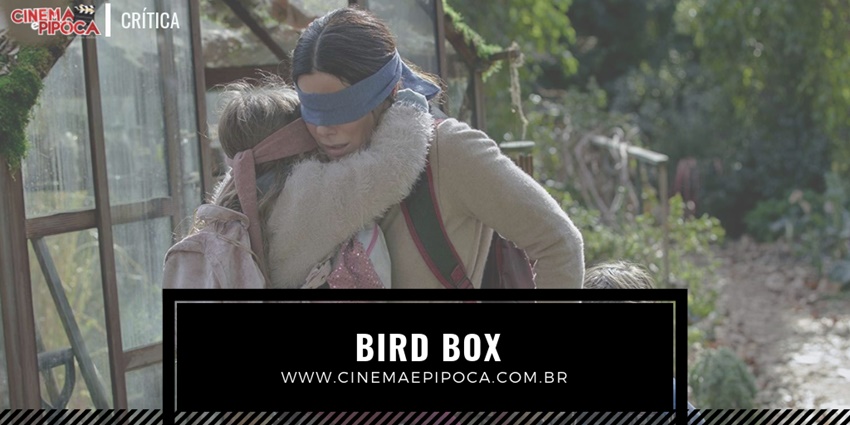 bird box topo