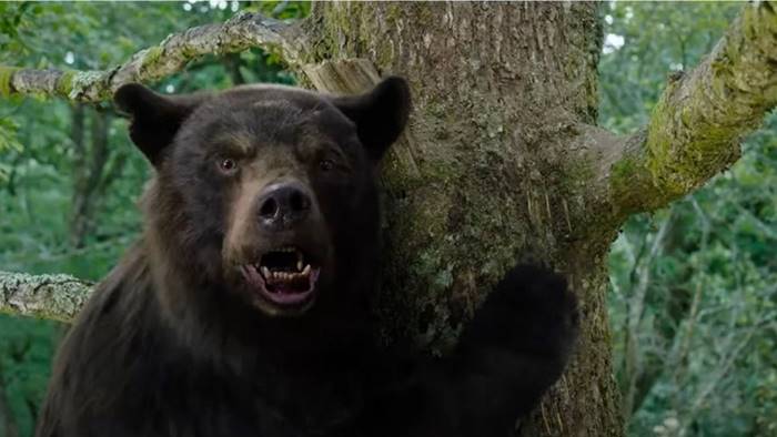 O Urso do Pó Branco surpreende nas bilheterias