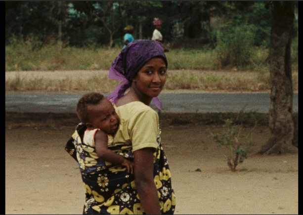 Mostra Ecofalante de Cinema - Bahia 2023