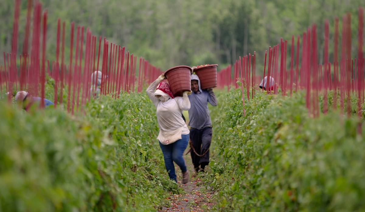 Mostra Ecofalante Cinema Rio food inc 2