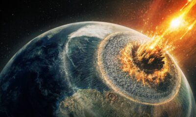 Destruicao Final 2