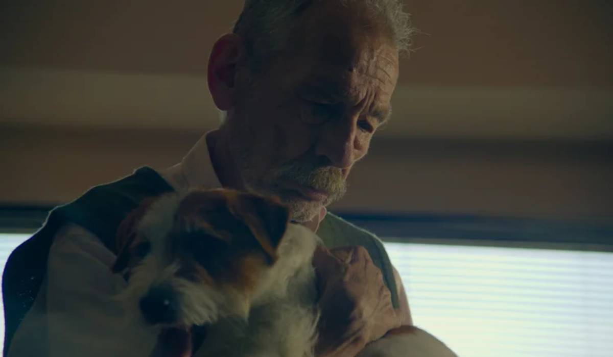 A Memória do Cheiro das Coisas | Resenha | Vale a pena assistir? 13 a memoria do cheiro topo