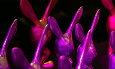 festiva mix vencedores topo 1