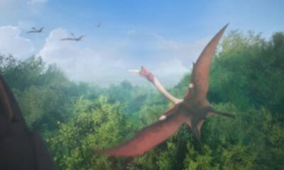 Mundos Desaparecidos