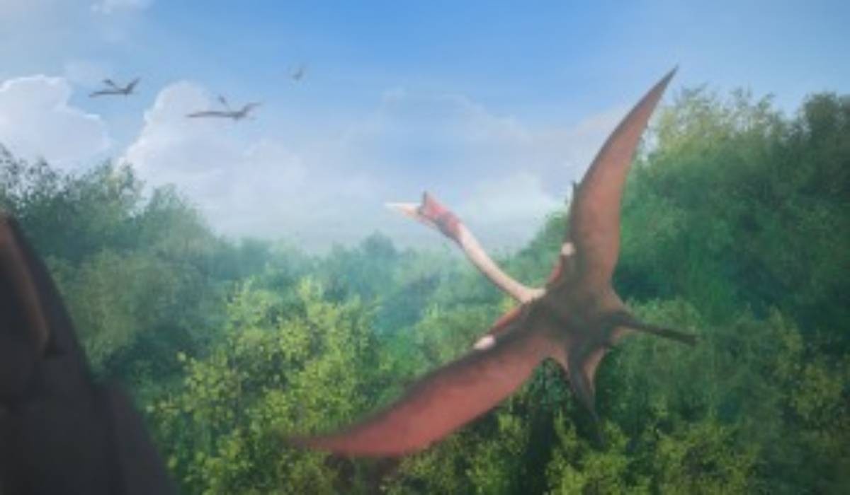 Mundos Desaparecidos