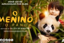 o menino e o panda topo 1