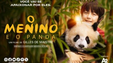o menino e o panda topo 1
