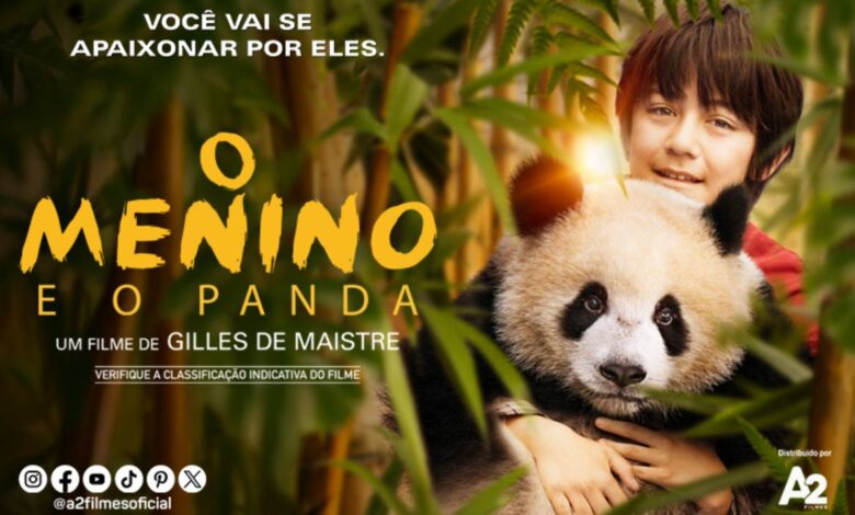 o menino e o panda topo 1