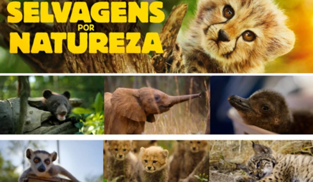 Lançamentos de dezembro na Apple TV+: confira 2 Lançamentos de dezembro na Apple TV+