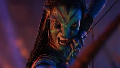 Bilheteria de Avatar - Fogo e Cinzas