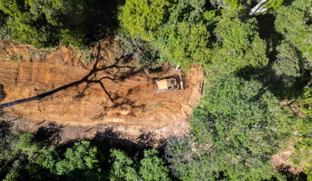 Inscrições para a 15ª Mostra Ecofalante de Cinema já estão abertas 2 Inscrições para a 15ª Mostra Ecofalante de Cinema