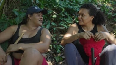 curta metragem beira topo