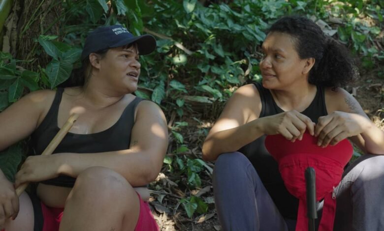 curta metragem beira topo