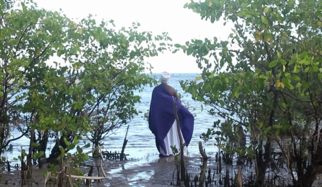 Inscrições para a 15ª Mostra Ecofalante de Cinema seguem até 31/01 2 Inscrições para a 15ª Mostra Ecofalante de Cinema