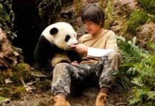 o menino e o panda topo