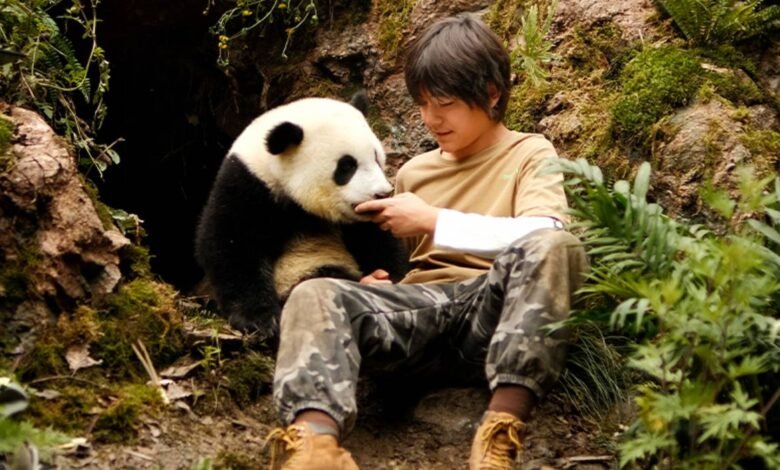 o menino e o panda topo