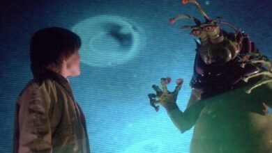 viagem ao mundo dos sonhos topo