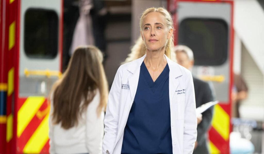 Onde assistir a 22ª temporada de Greys Anatomy