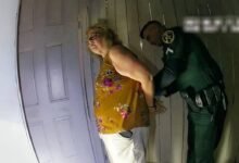 a vizinha perfeita topo