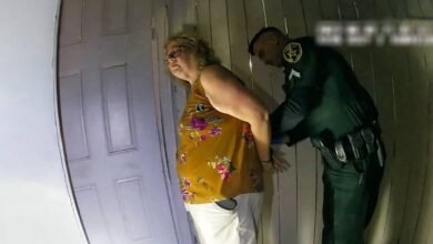 a vizinha perfeita topo