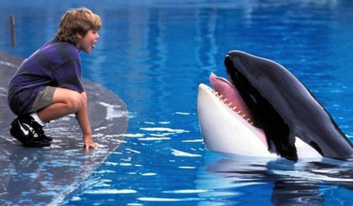 free willy topo
