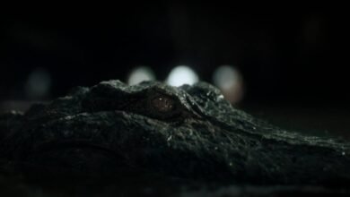 Novidades sobre Predadores Assassinos 2