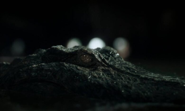 Novidades sobre Predadores Assassinos 2