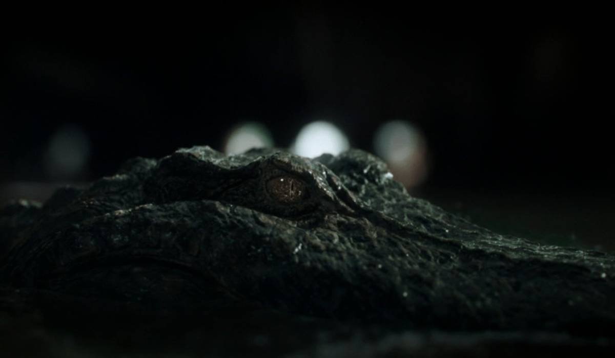 Novidades sobre Predadores Assassinos 2