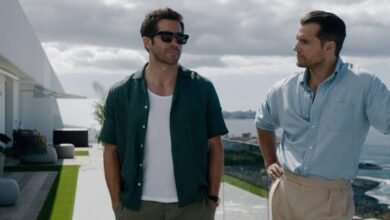 na zona cinzenta topo