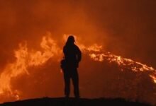 o onibus perdido topo