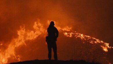 o onibus perdido topo