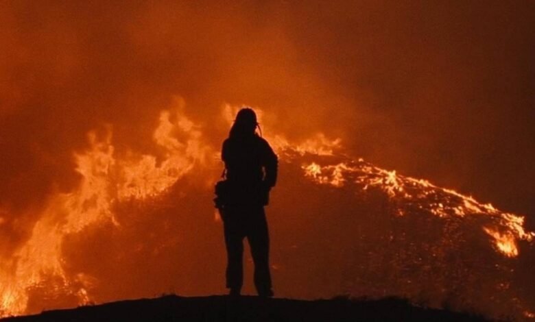 o onibus perdido topo