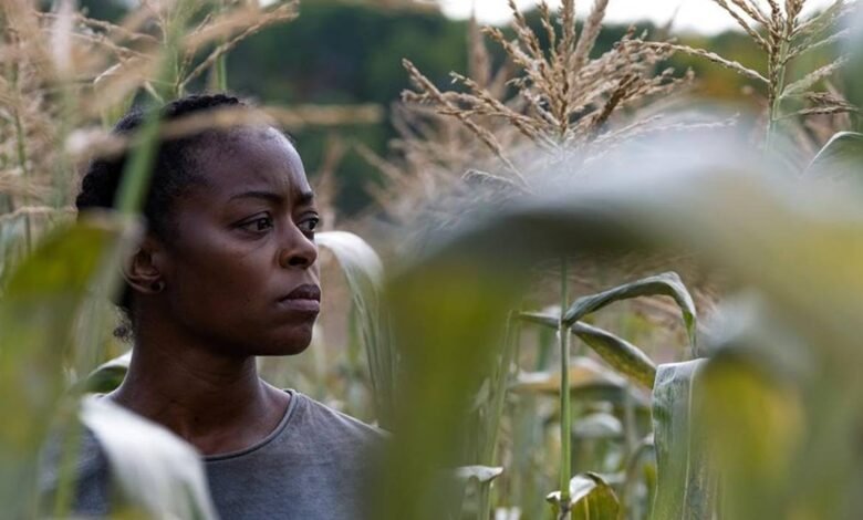 40 Acres | Resenha | Vale a pena assistir? 1 40 acres topo