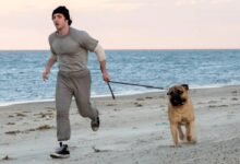 Teaser de I Play Rocky