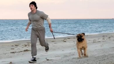 Teaser de I Play Rocky