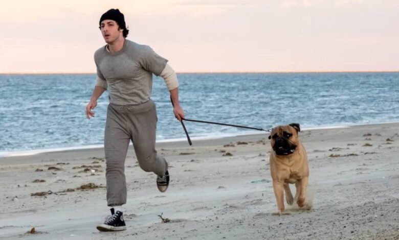 Teaser de I Play Rocky