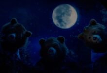 masha e os ursos topo