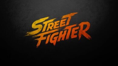 street fighter topo