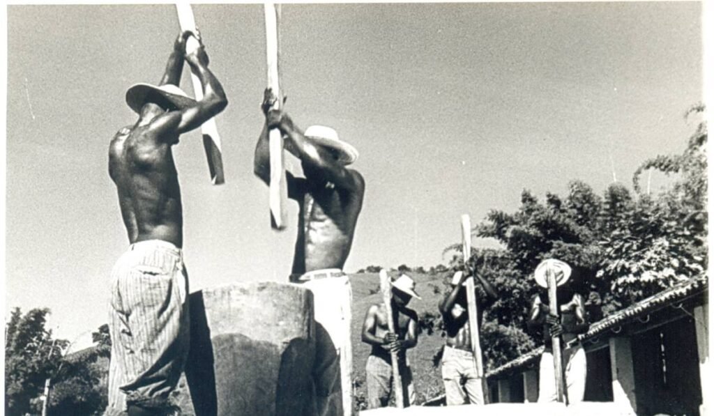 Mostra especial CTAv 40 anos