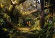 Trailer de O Bosque Selvagem
