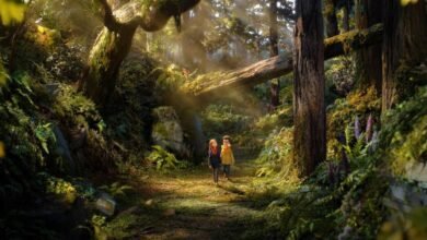 Trailer de O Bosque Selvagem