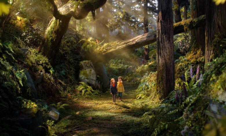 Trailer de O Bosque Selvagem