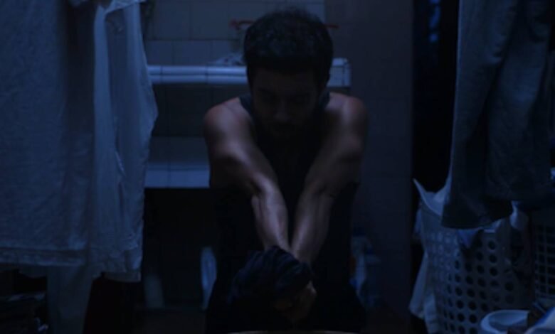 mostra cinestesia topo