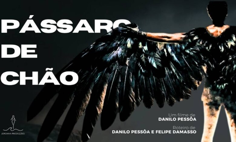 passaro de chao topo